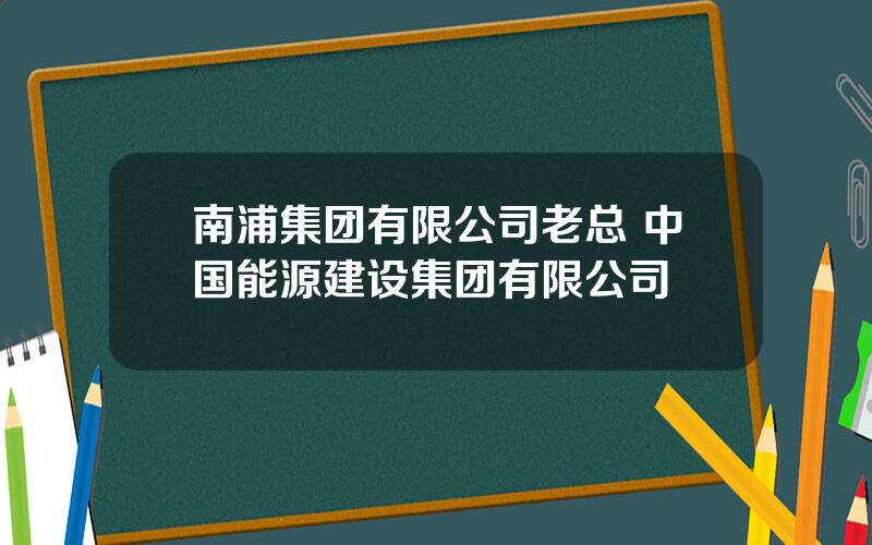 南浦集团有限公司老总 中国能源建设集团有限公司